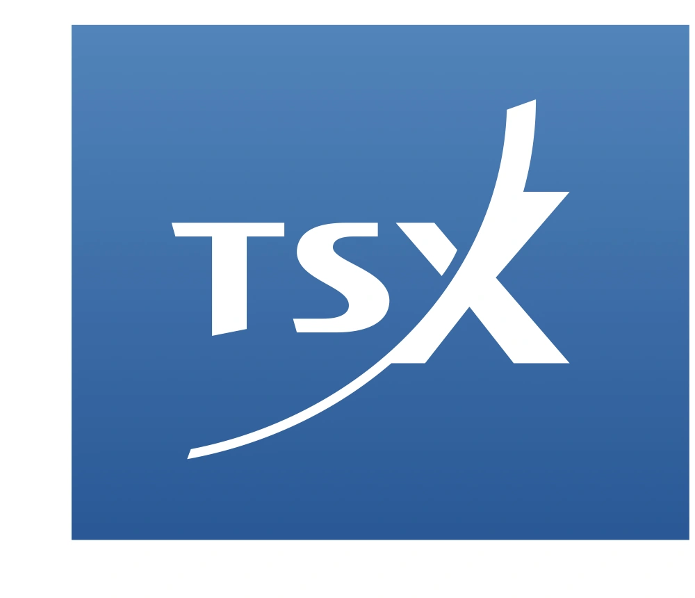 Toronto Stock Exchange 2 Logo
