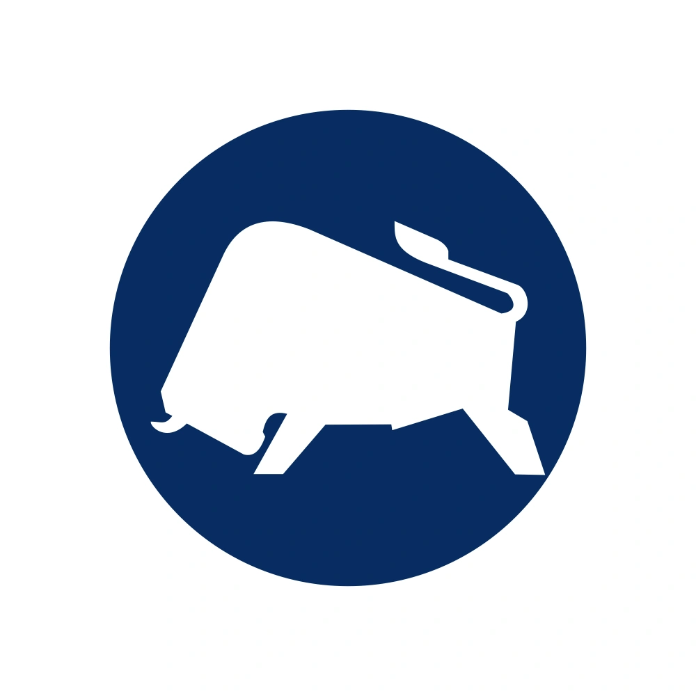 Getriebewerke Brandenburg IFA VEB Logo