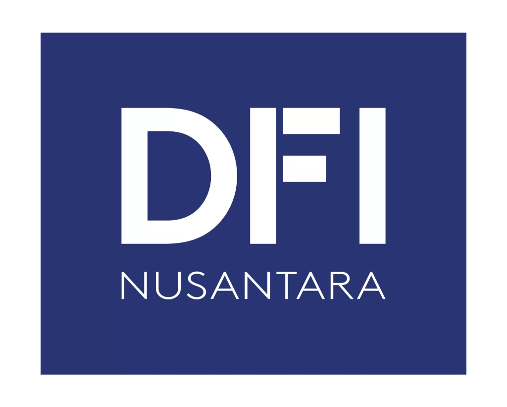 DFI Nusantara Logo