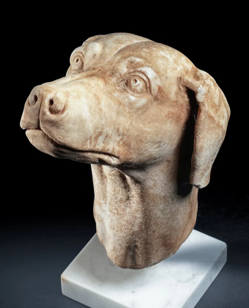 Stone Dog Head Sculpture Black Background