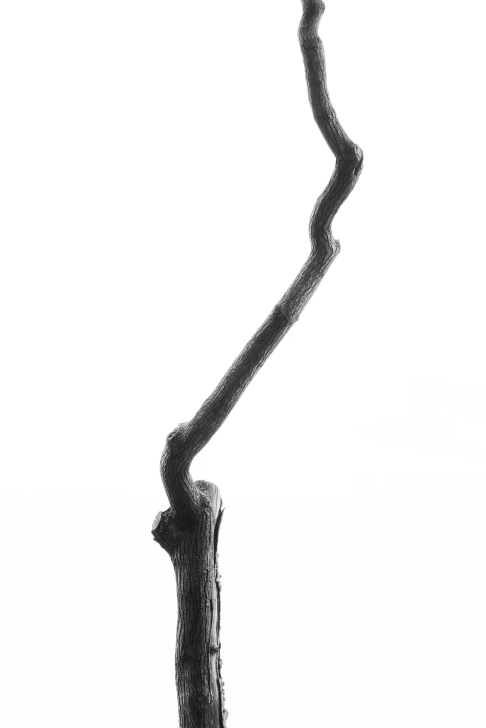 Black Line 3D Smooth