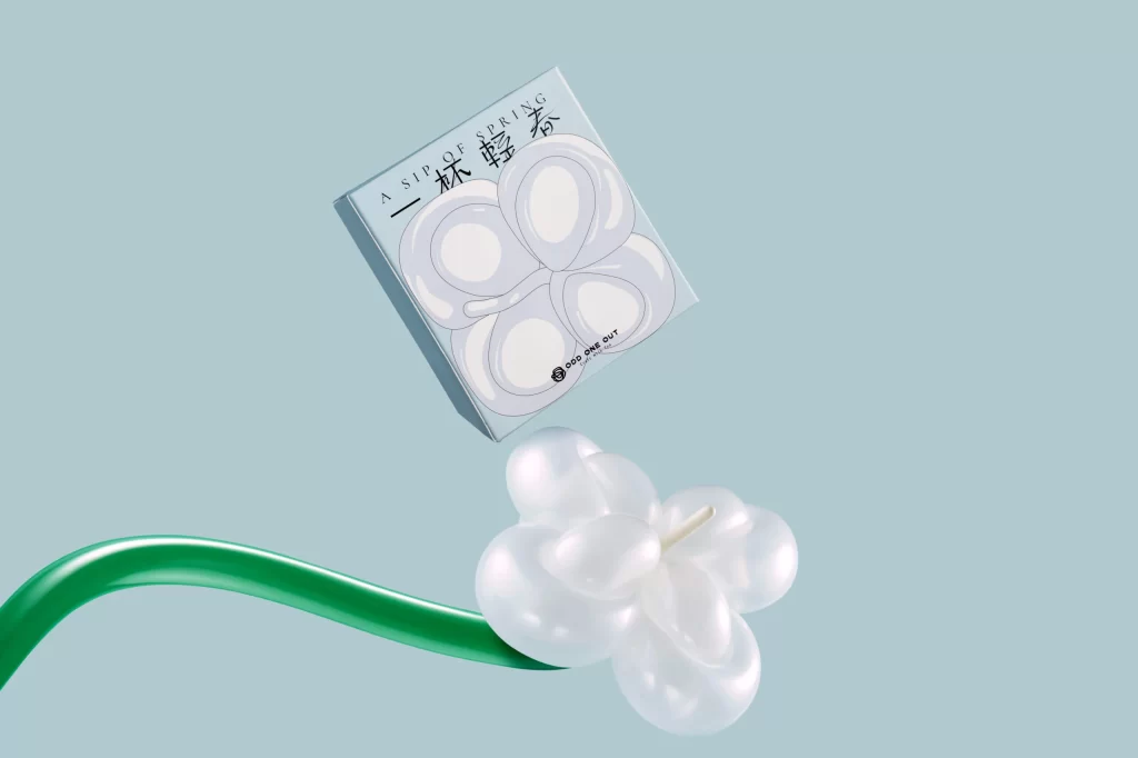 Balloon Packaging Design Box