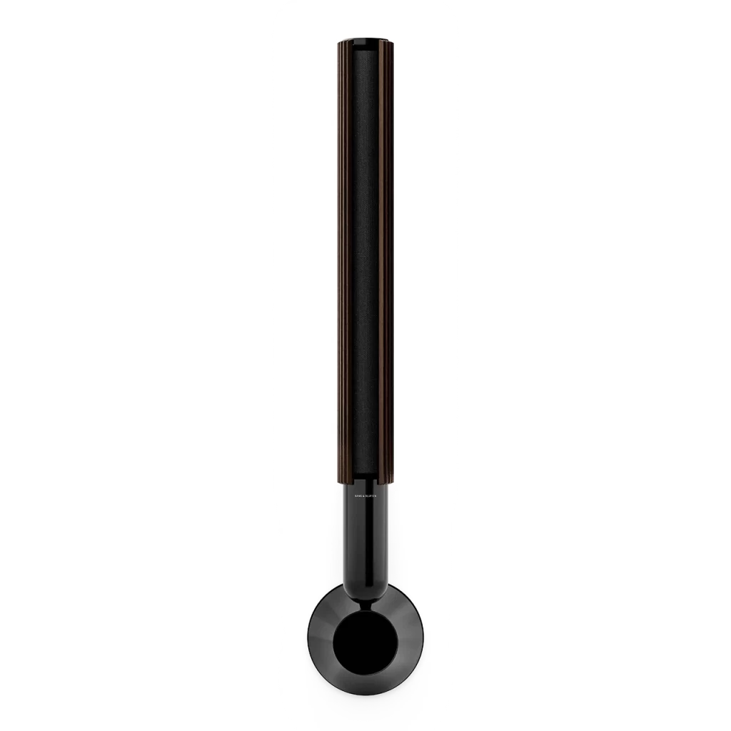 Bang & Olufsen Anthracite Detail View Beolab 28 Accessory
