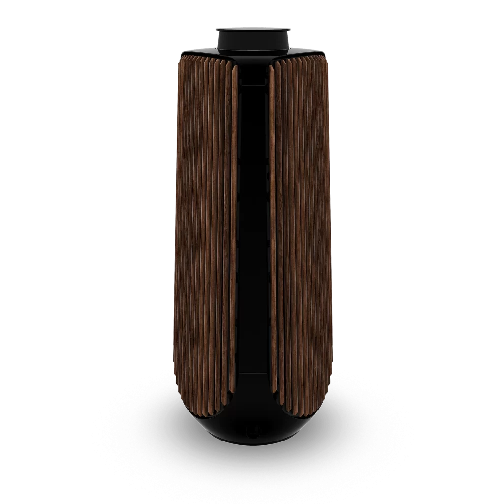 Bang & Olufsen Editorial Rear View Beolab 50 Soundbar