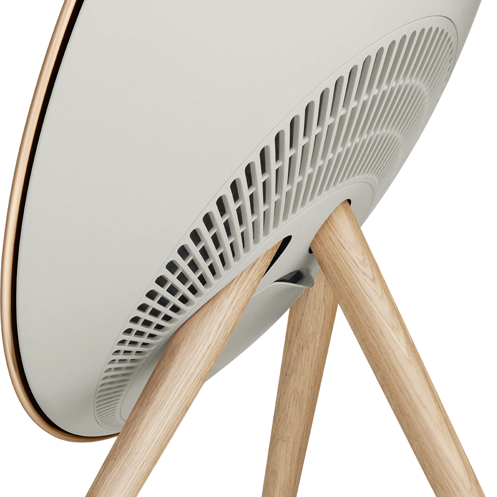 Bang & Olufsen Fabric Design Detail Beosound A9 Speaker