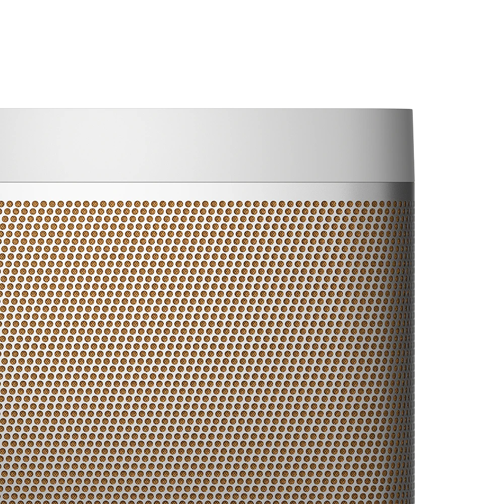 Bang & Olufsen Gold Close Up Detail Beolit 20 Speaker