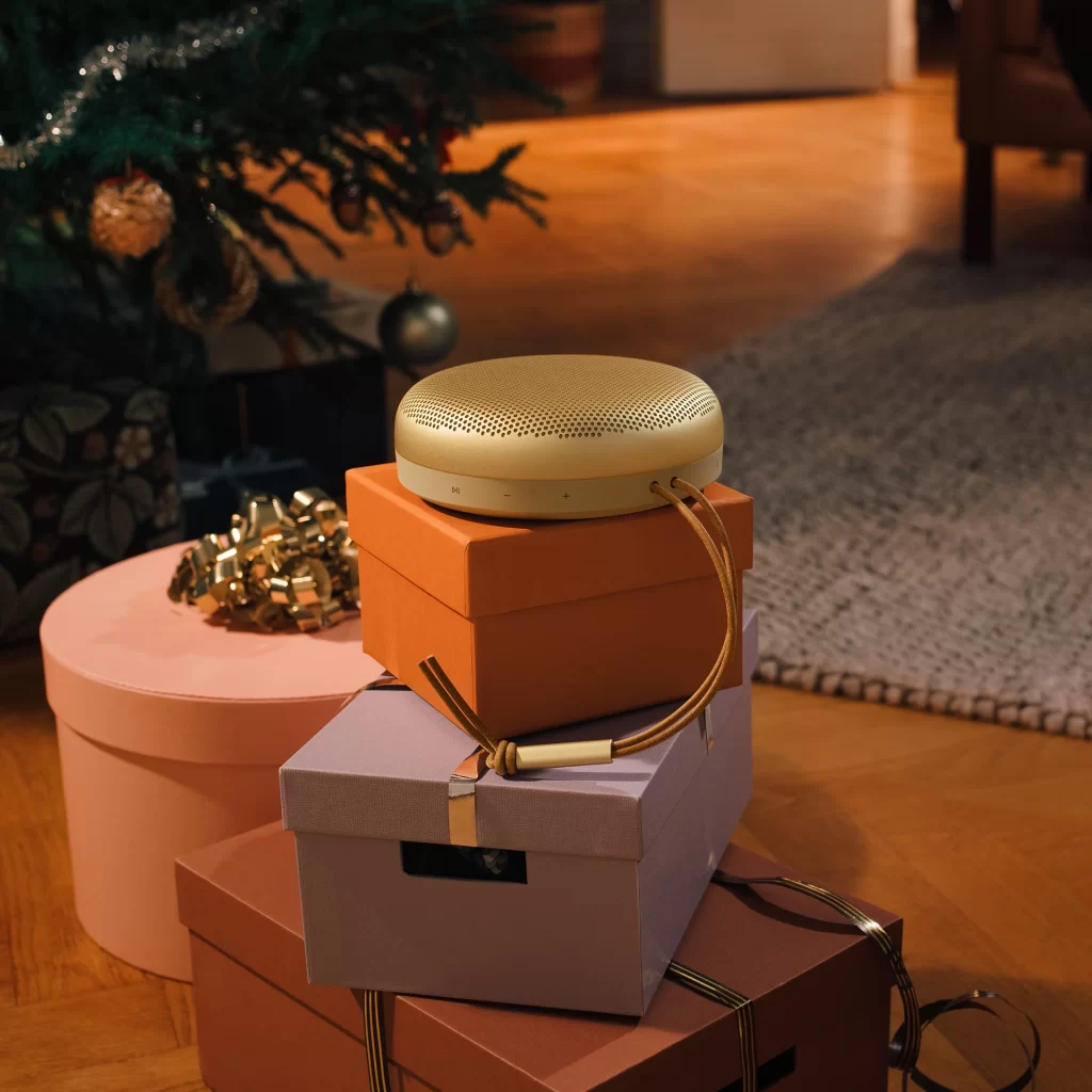 Bang & Olufsen Iconic Editorial View Beosound A9 Speaker
