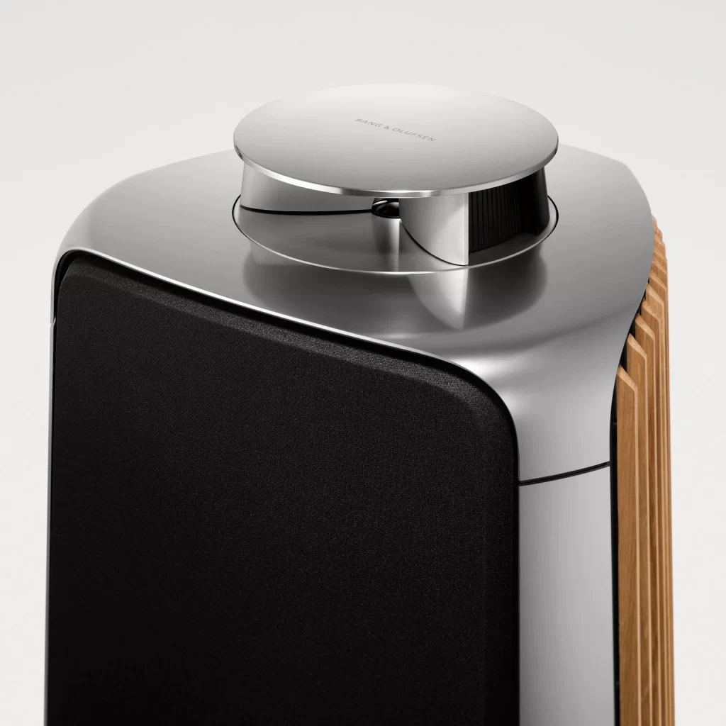 Bang & Olufsen Premium Design Detail Beolab 50 Speaker