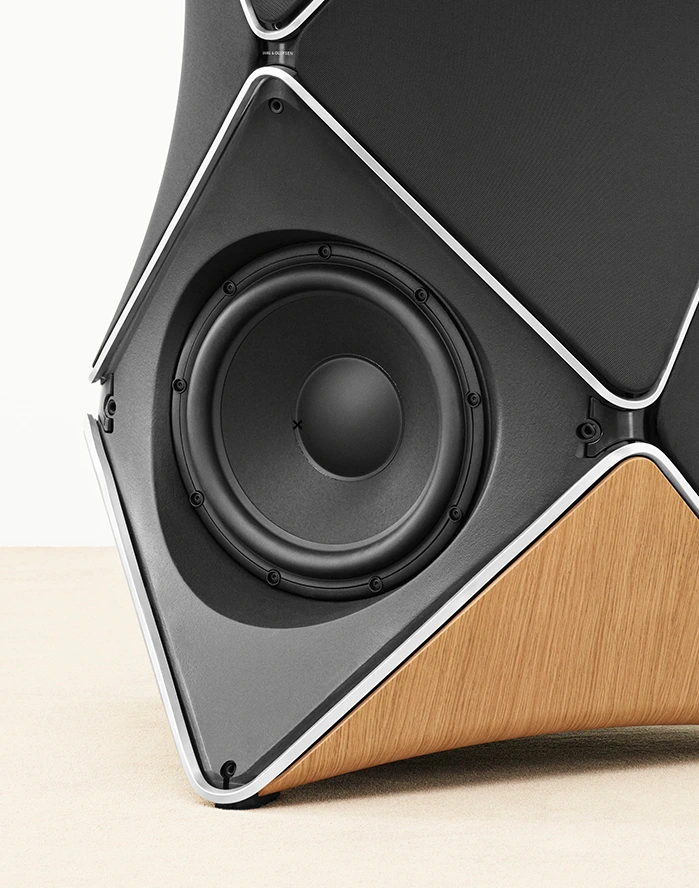 Bang & Olufsen Premium Rear View Beolab 90 Speaker