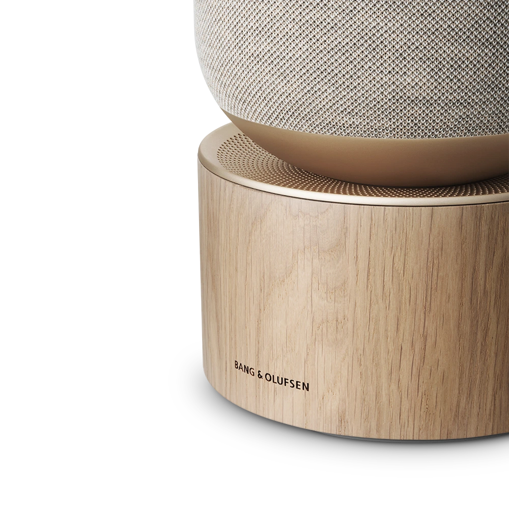 Bang & Olufsen Scene Rear View Beosound Balance Speaker
