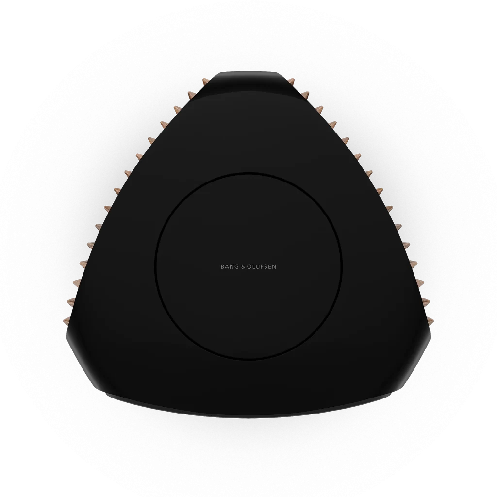 Bang & Olufsen Smokedoak Top Down View Beolab 50 Speaker