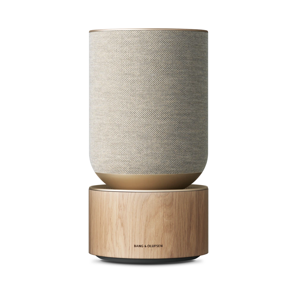 Bang & Olufsen Studio Angled View Beosound A9 Speaker