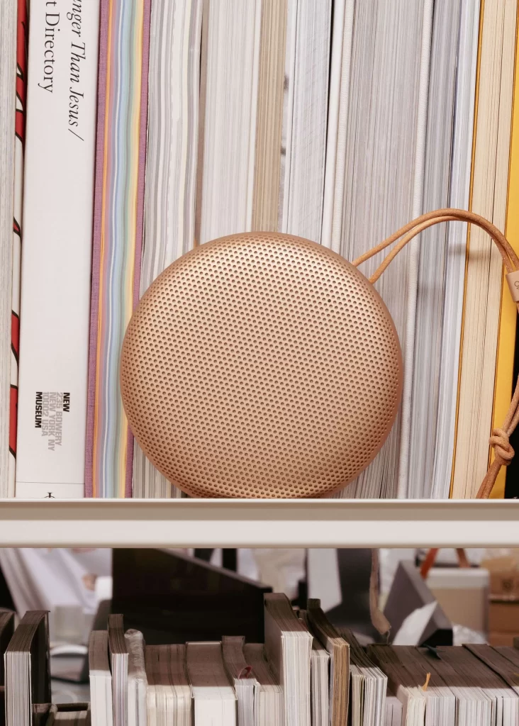 Bang & Olufsen Studio Studio View Beosound A1 Speaker