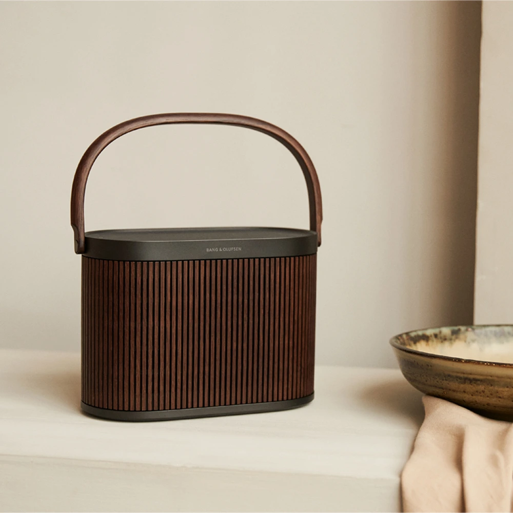 Bang & Olufsen V102 Beosound A9 Speaker