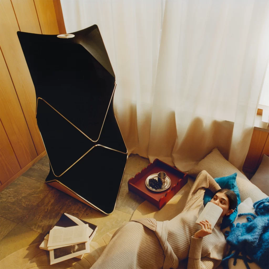 Bang & Olufsen V107 Beosound Shape Speaker