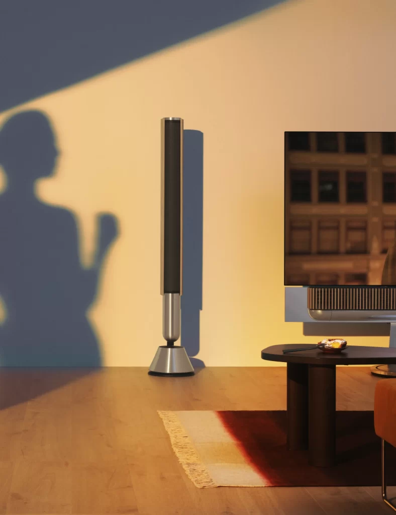 Bang & Olufsen V108 Beosound A9 Speaker