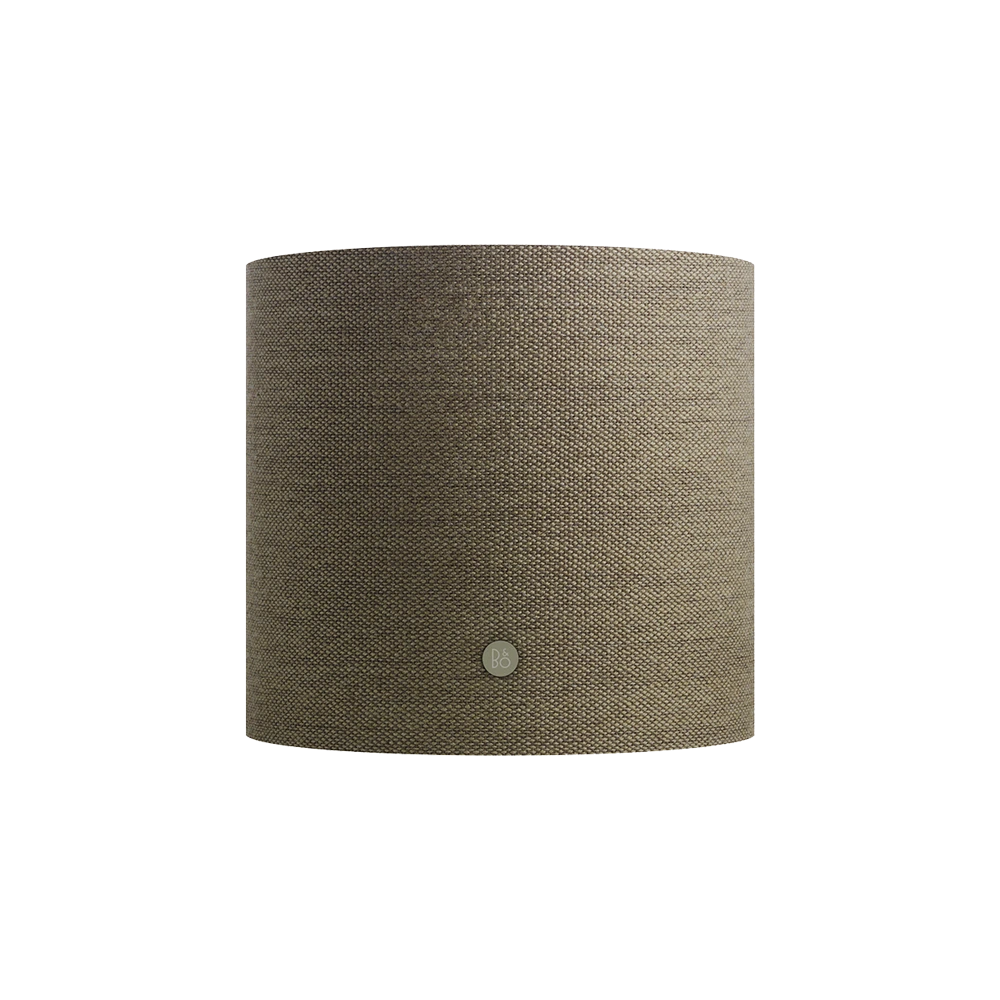 Bang & Olufsen V113 Beosound A9 Speaker