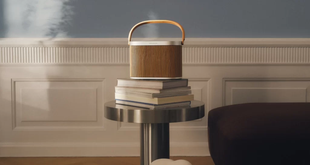 Bang & Olufsen V119 Beosound A9 Speaker