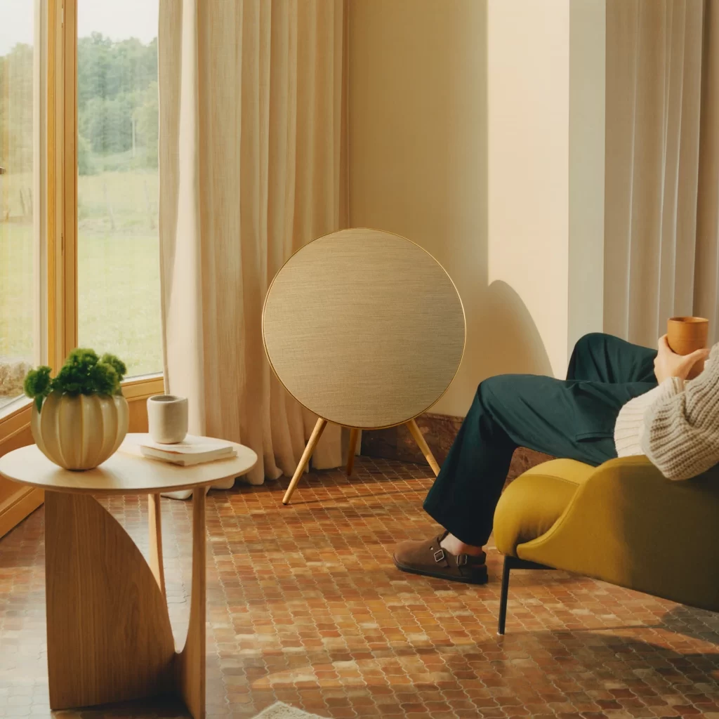 Bang & Olufsen V21 Beosound A9 Speaker