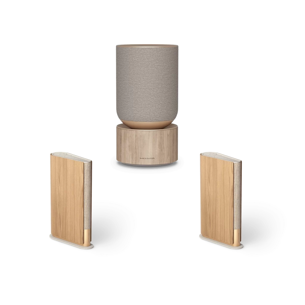 Bang & Olufsen V31 Beosound A9 Speaker
