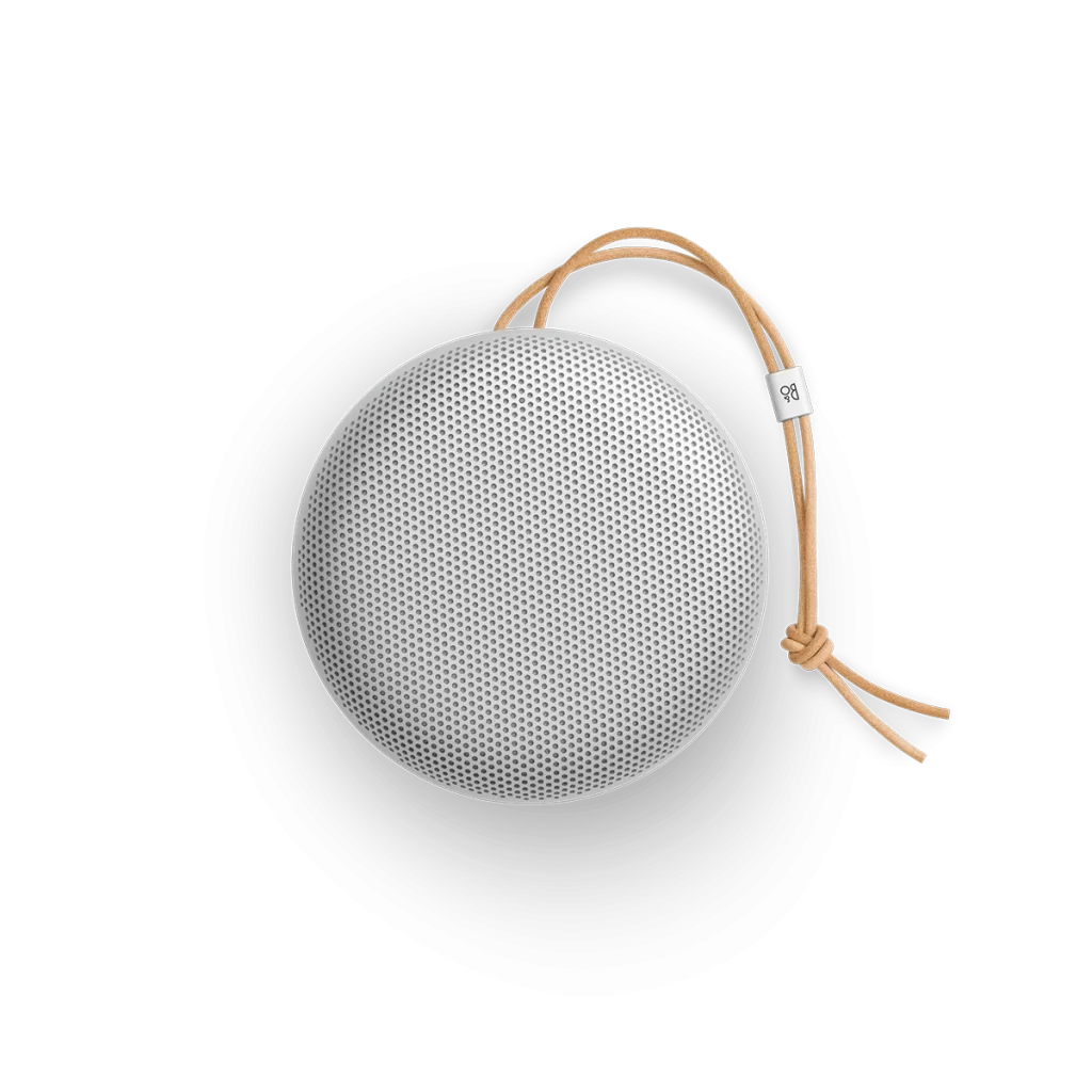 Bang & Olufsen V54 Beosound A1 Speaker