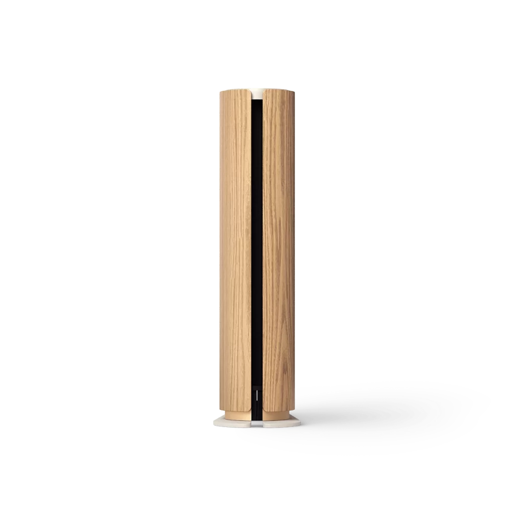 Bang & Olufsen V64 Beosound Emerge Speaker
