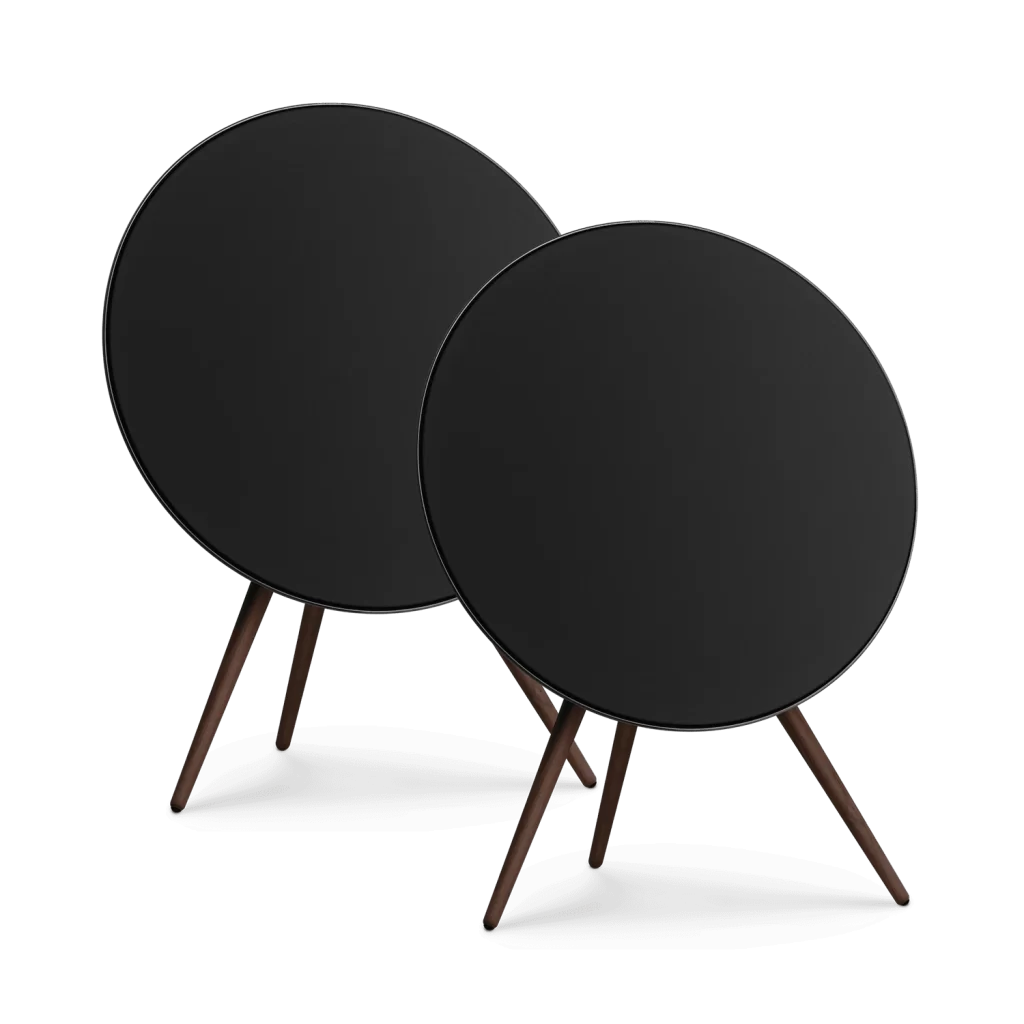 Bang & Olufsen V96 Beosound A9 Speaker