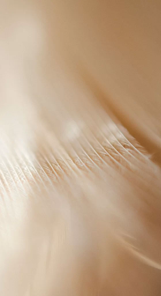 Beige Line Texture Background