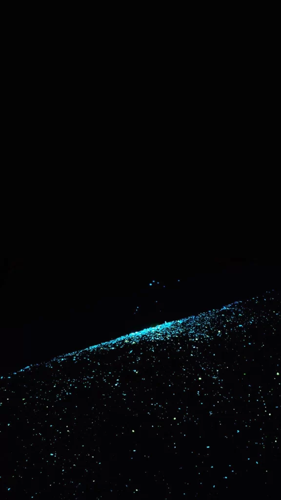 Black Circle Abstract Background