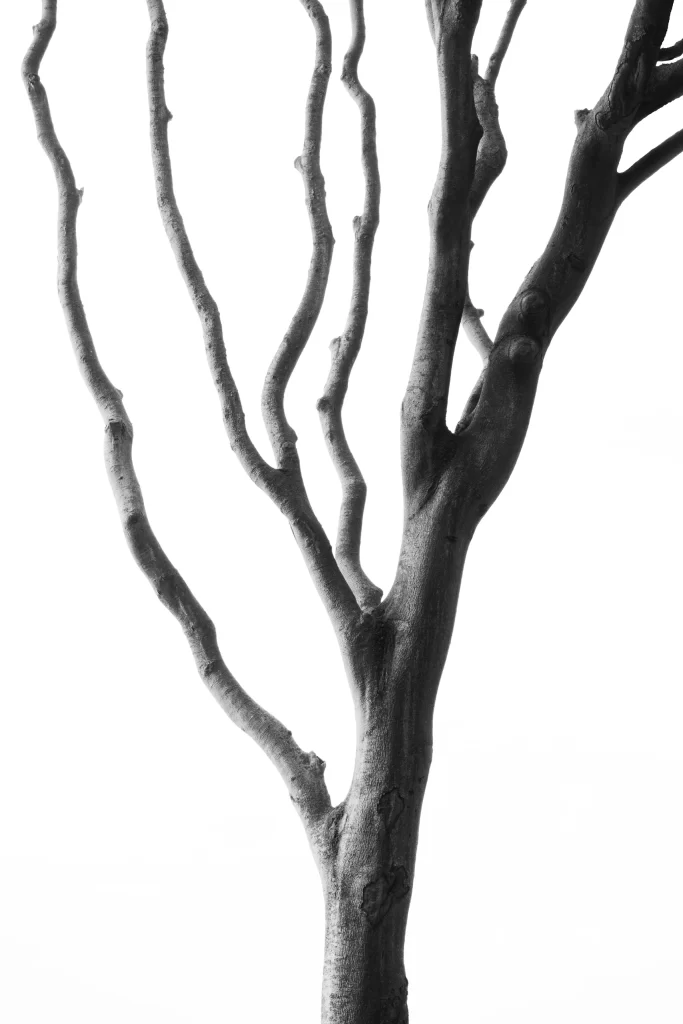 White Blur Line 3D Background