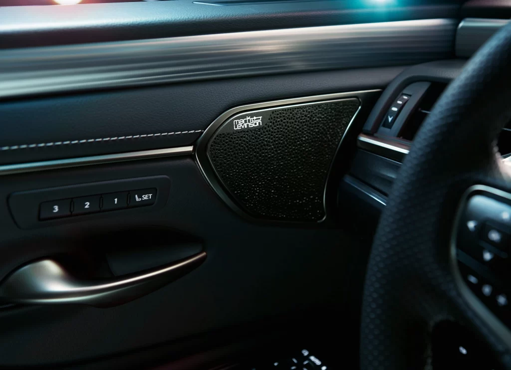 Black Luxury Sedan Interior Door Panel