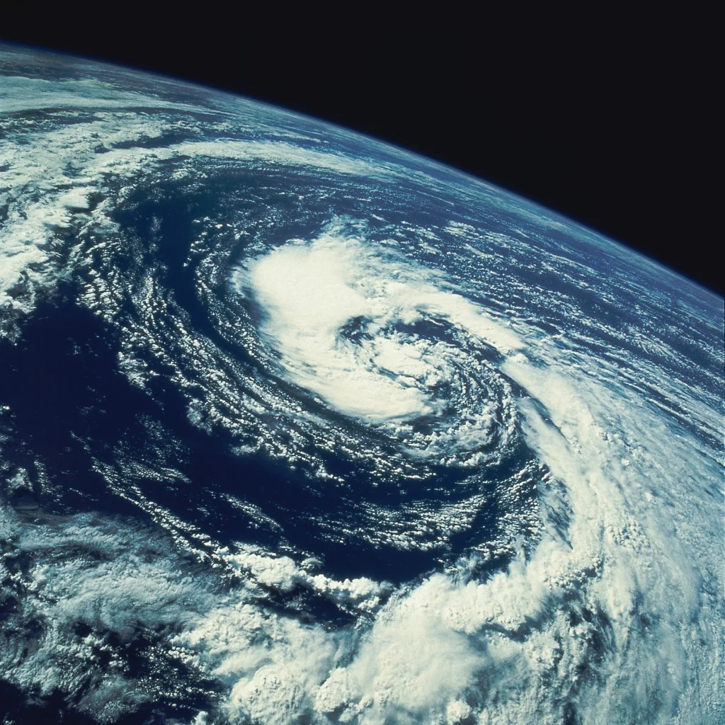 Black Swirl Nature Background
