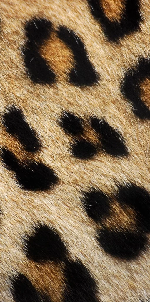 Orange Dot Background
