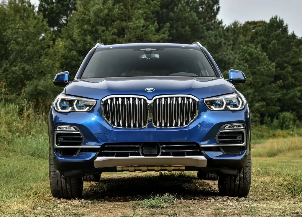 Blue BMW SUV Grassy Field Front View