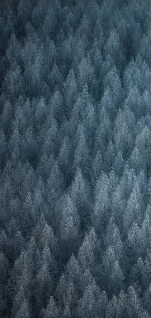 Blue Gradient Nature Background