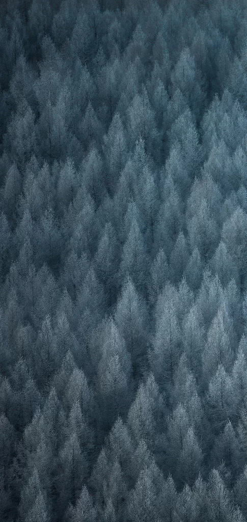 Blue Nature Background