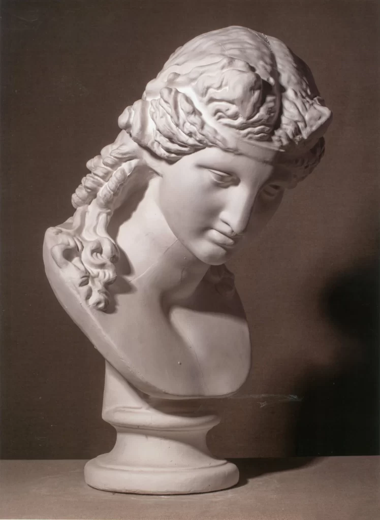 Braided Hair Bust Side View