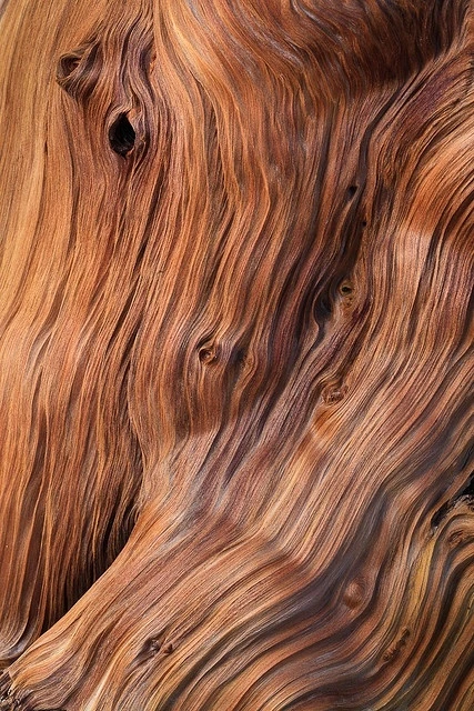 Brown Flow Texture Background