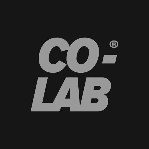 CO-LAB Gray Wordmark Logo
