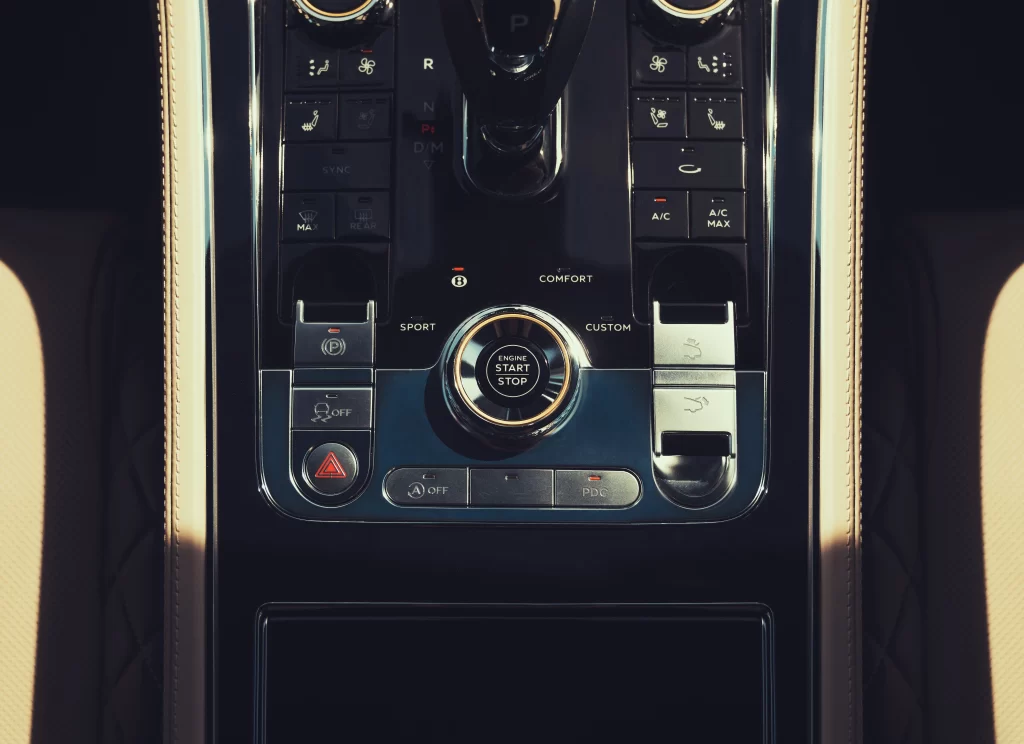 Car Control Panel Button Detail