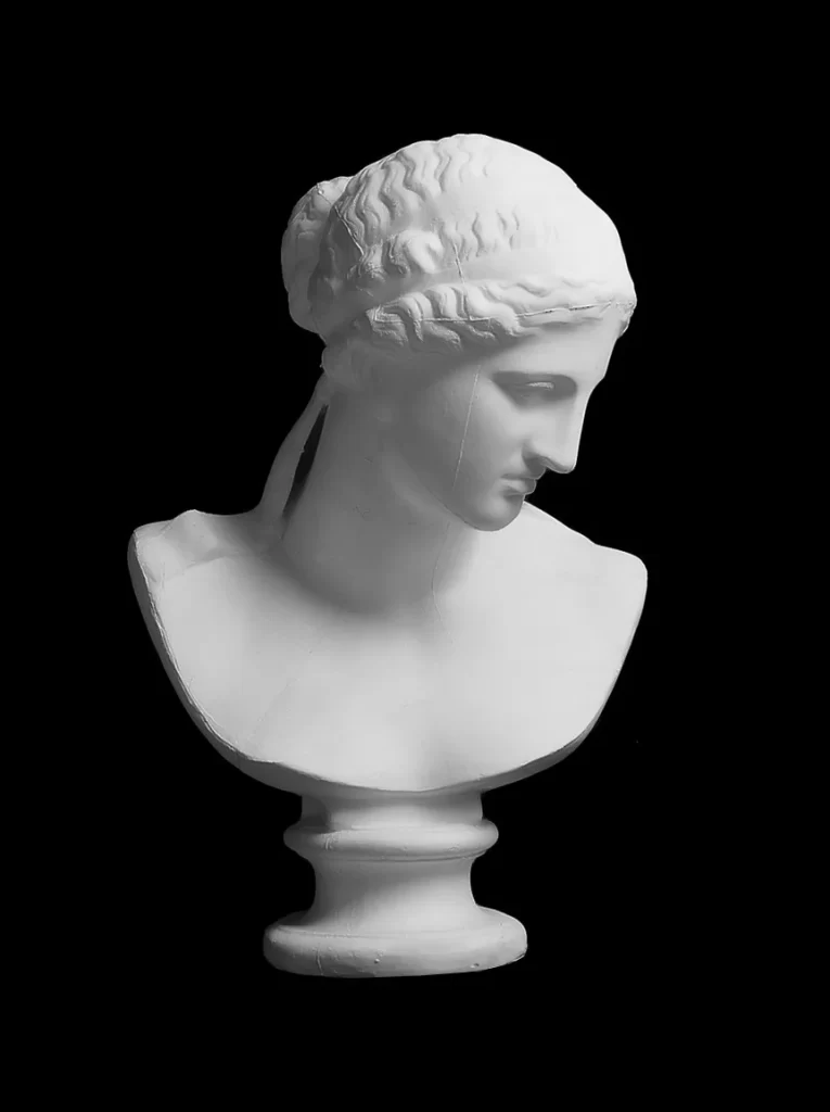 Curly Hair Bust Sculpture Profile Photo Reference