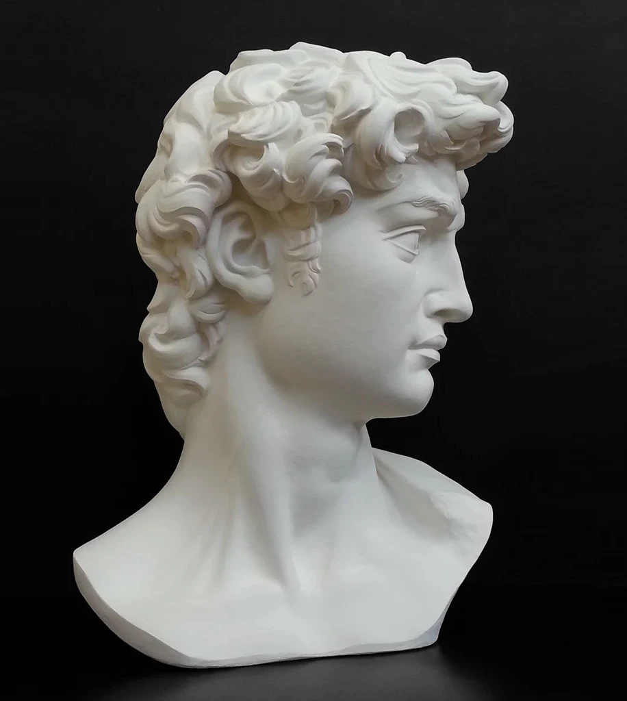 Curly Hair Man Plaster Bust Dark View