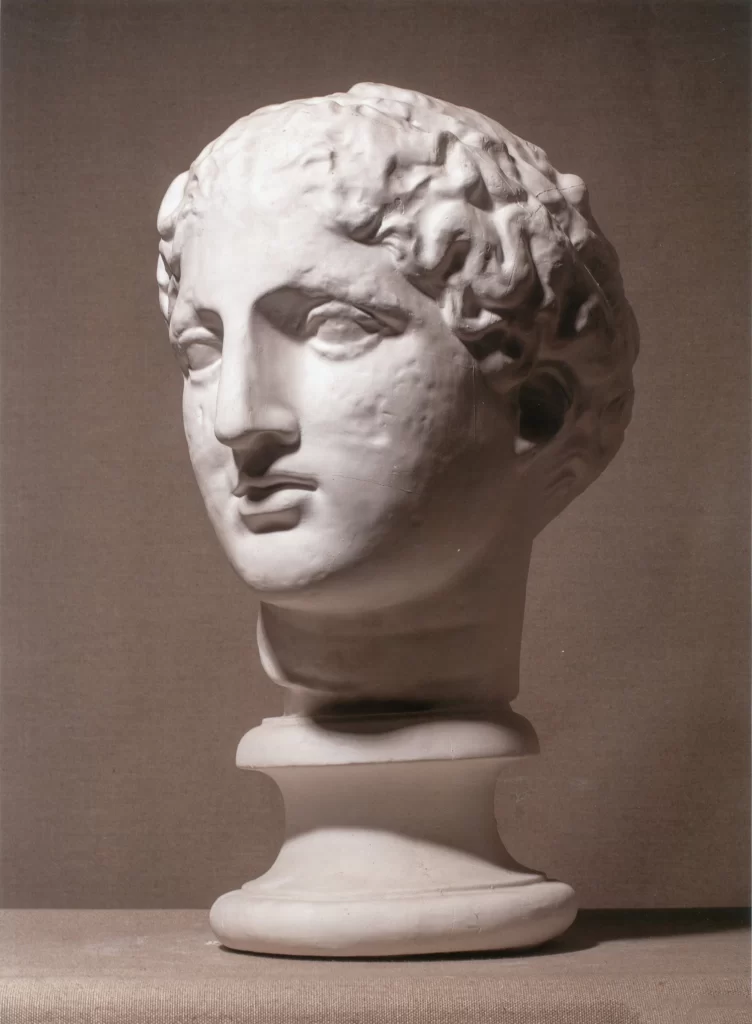 Curly Short Hair Bust Front View