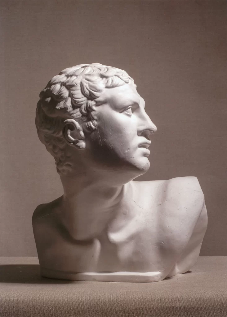 Curly Young Man Plaster Bust Profile View