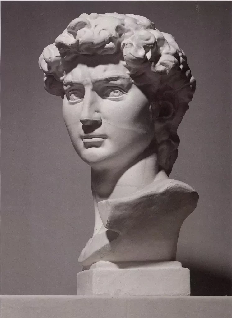 Bust of David Sculpture Front View Photo Reference