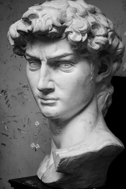 Bust of David Plaster Cast Close Up Photo Reference