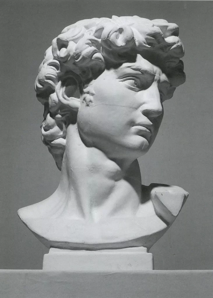 Bust of David Sculpture Side View Photo Reference