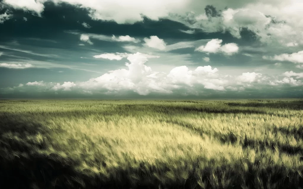 Green Nature Gradient Background