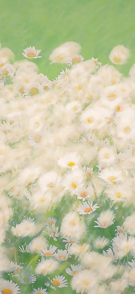 Flower Nature Background
