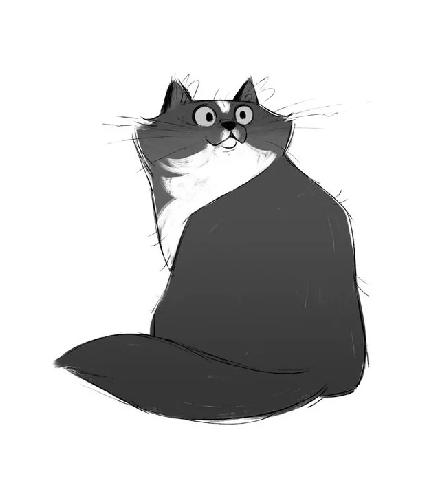 Fluffy Cat Pencil Sketch Reference